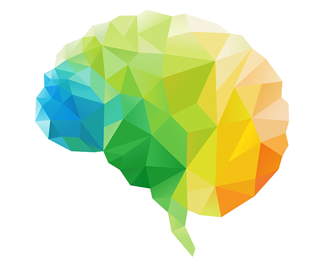 Traumatic Brain Injury Clinic