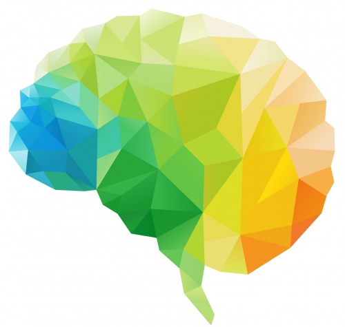 Vanderbilt TBI Center Colorful Brain Emblem